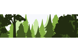 Onze bijdrage aan een betere wereld met Trees for All